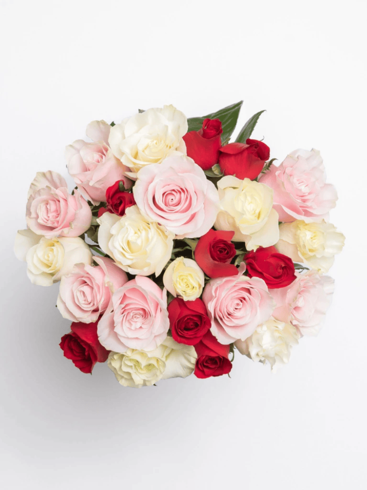 مزهرية الزهور الرقيقة Flowery فلاوري.