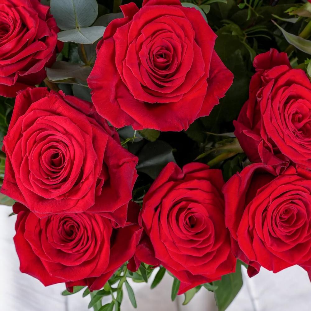 فازة الورد الأحمر العملاقة | 200 ورده Flowery فلاوري.