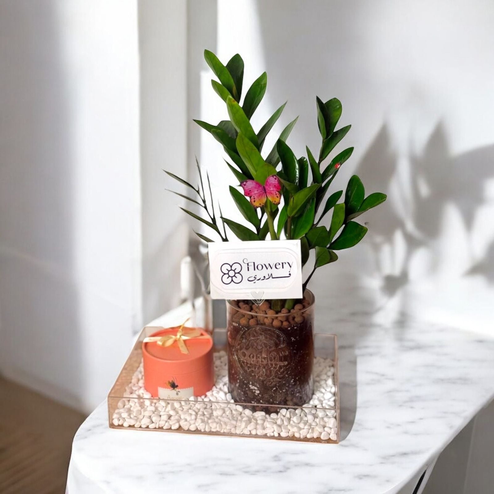 هدية نبات مع شوكولاته Flowery فلاوري.