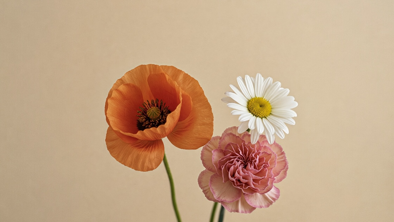 Flowery فلاوري