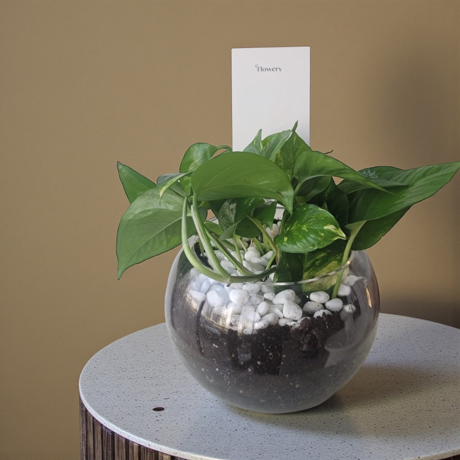 Boots in a glass vase